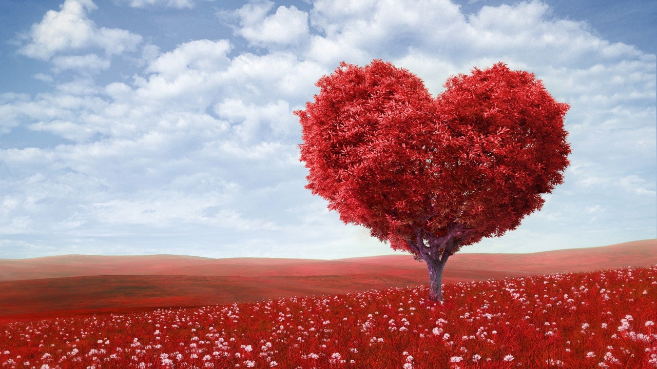 The Tree Of Love Wallpaper for Desktop 1280x720