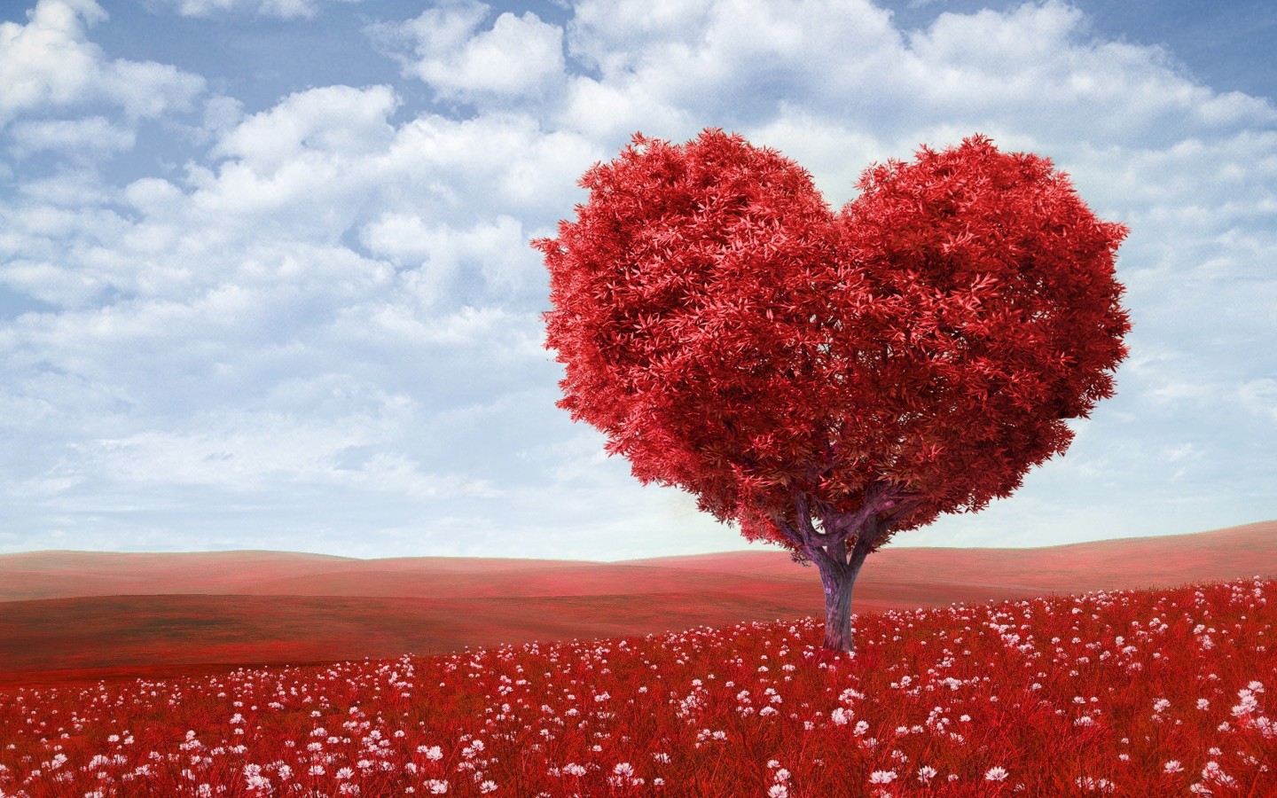 The Tree Of Love Wallpaper for Desktop 1440x900