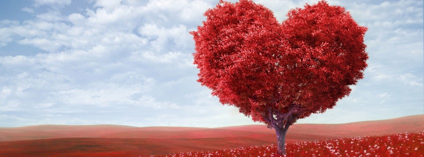 The Tree Of Love Wallpaper for Social Media Facebook Cover