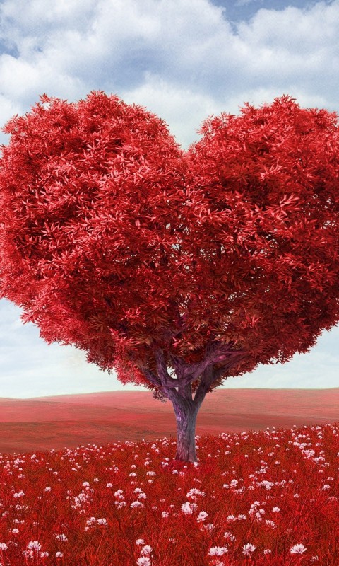 The Tree Of Love Wallpaper for HTC Desire HD