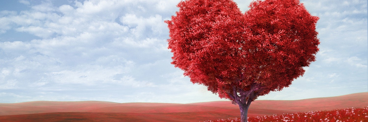 The Tree Of Love Wallpaper for Social Media Twitter Header