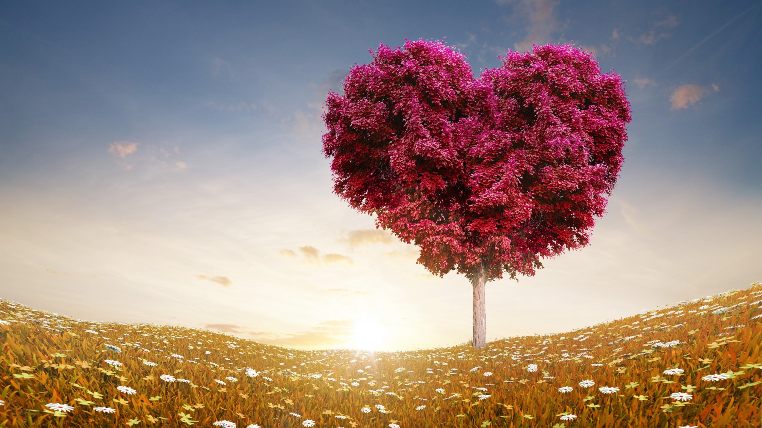 Tree Of Love Wallpaper for Desktop 2560x1440