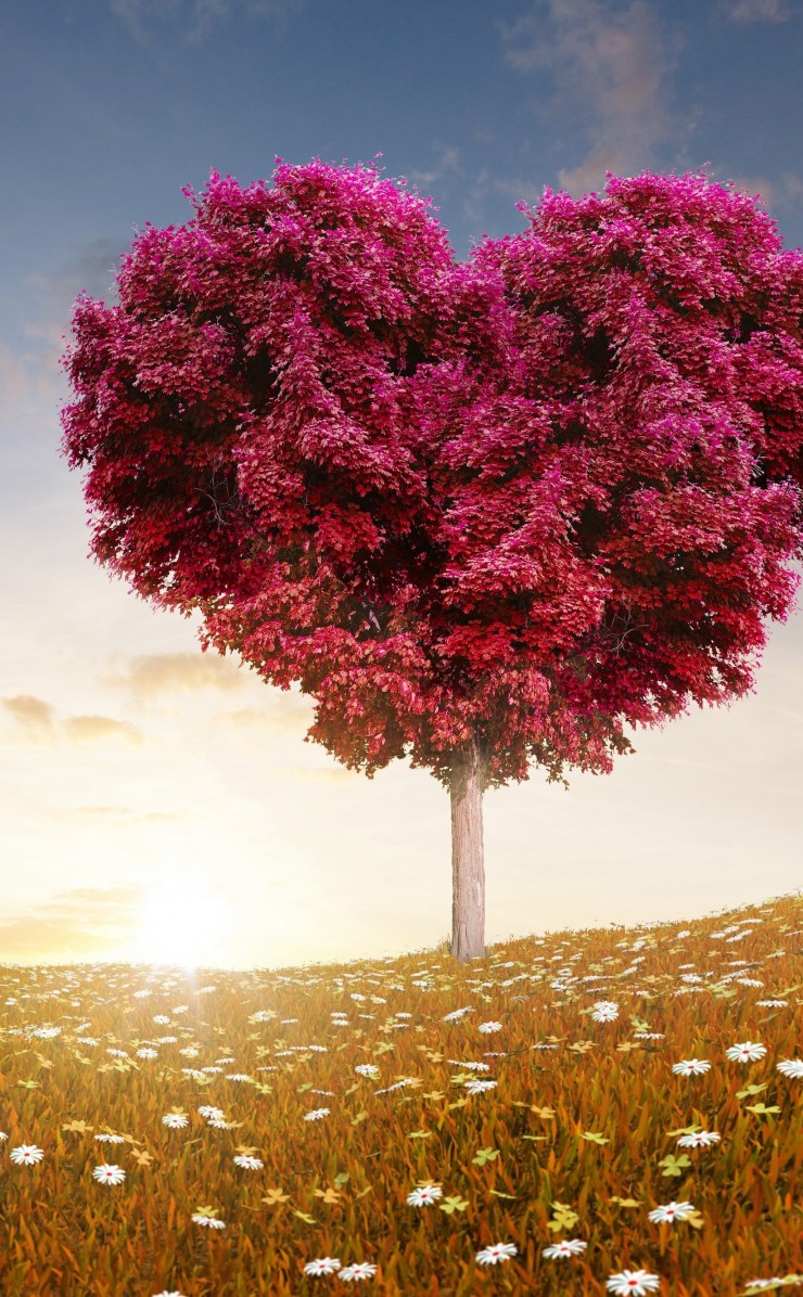 Tree Of Love Wallpaper for Apple iPhone 4 / 4s