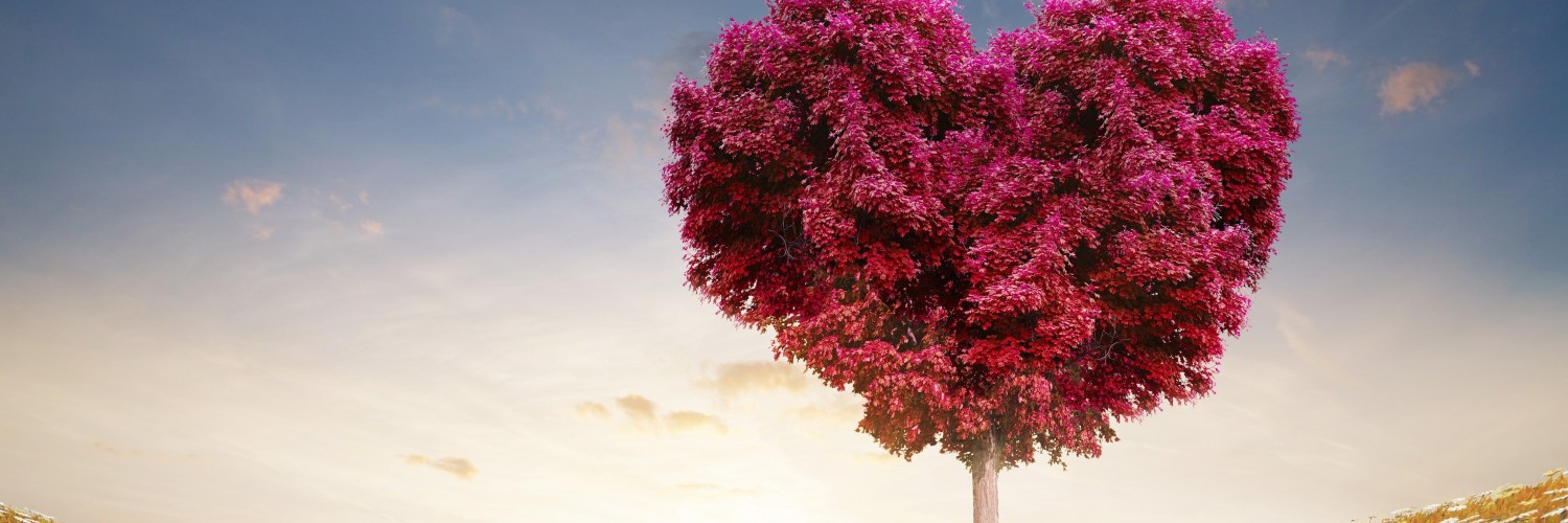 Tree Of Love Wallpaper for Social Media Twitter Header
