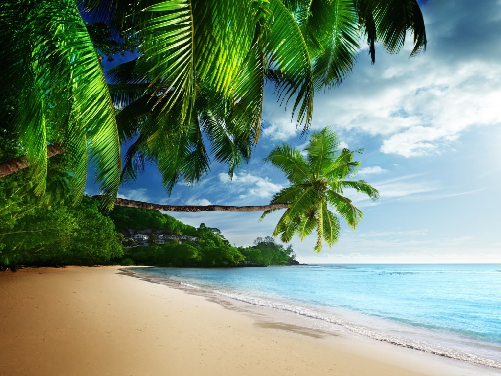 Tropical Paradise Beach Wallpaper for Desktop 1024x768