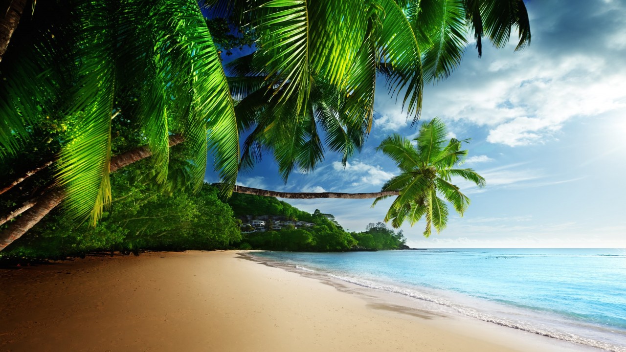 Tropical Paradise Beach Wallpaper for Desktop 1280x720