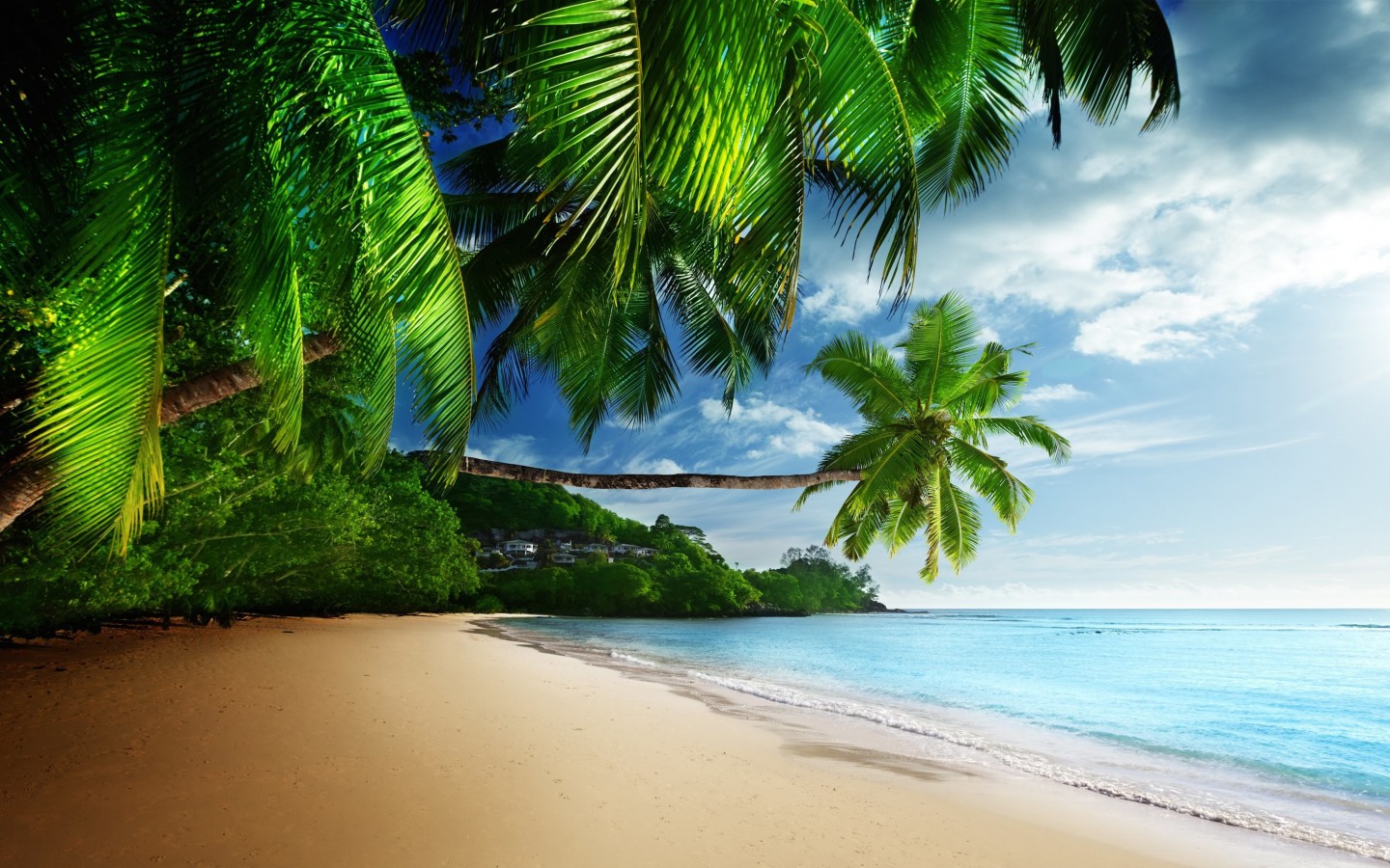 Tropical Paradise Beach Wallpaper for Desktop 1440x900