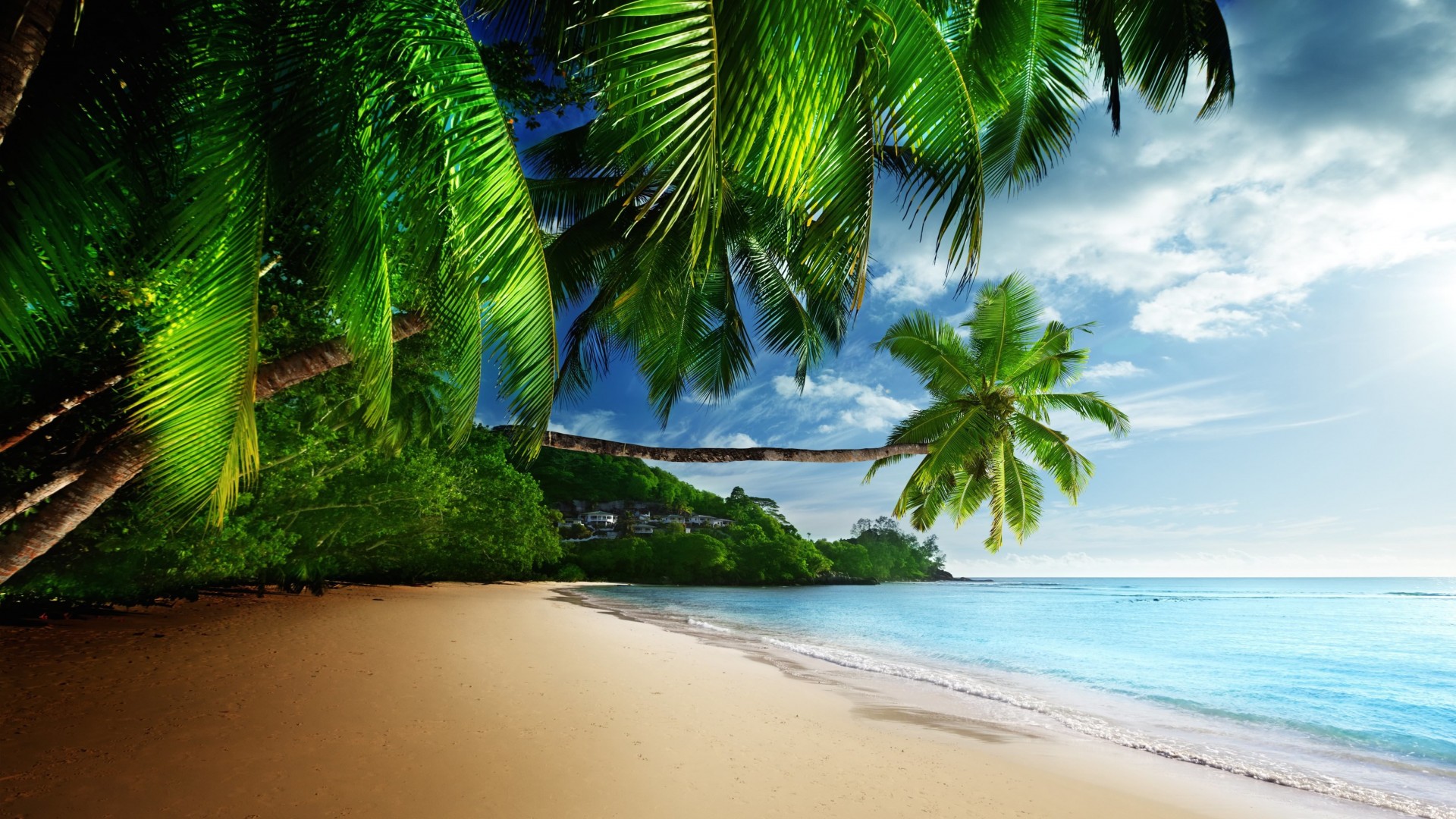Tropical Paradise Beach Wallpaper for Desktop 1920x1080