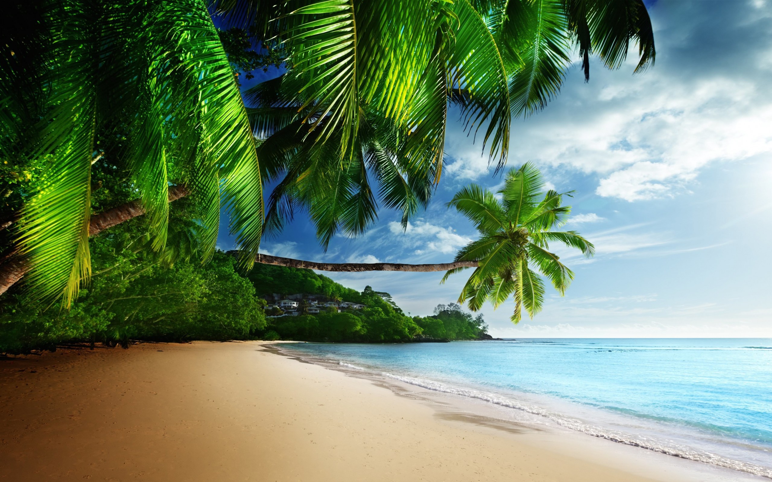 Tropical Paradise Beach Wallpaper for Desktop 2560x1600
