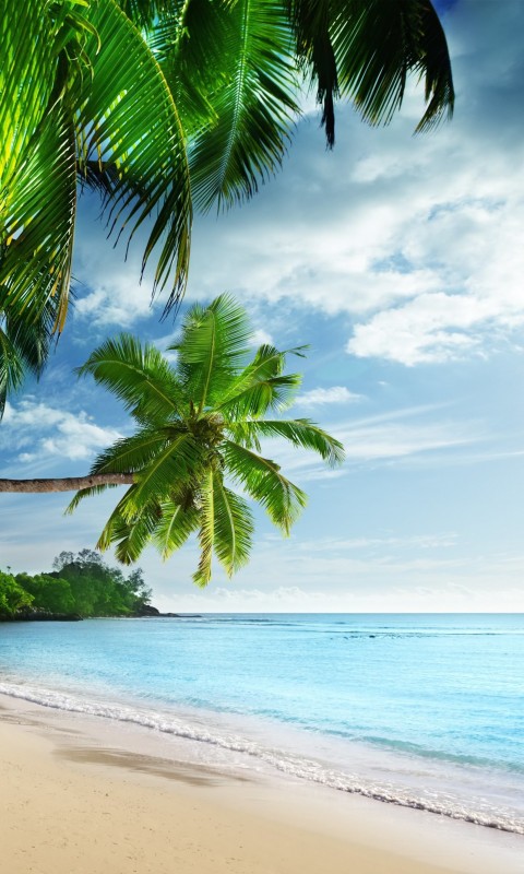 Tropical Paradise Beach Wallpaper for SAMSUNG Galaxy S3 Mini