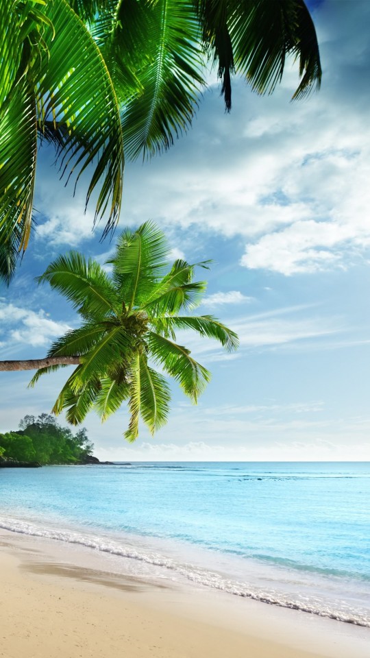 Tropical Paradise Beach Wallpaper for SAMSUNG Galaxy S4 Mini