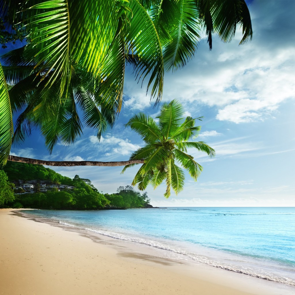 Tropical Paradise Beach Wallpaper for Apple iPad 2