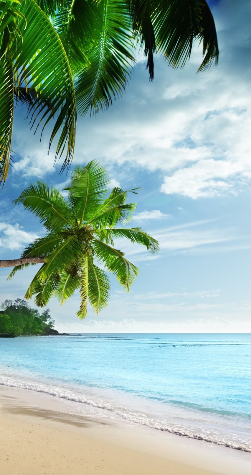 Tropical Paradise Beach Wallpaper for Apple iPhone 6 / 6s