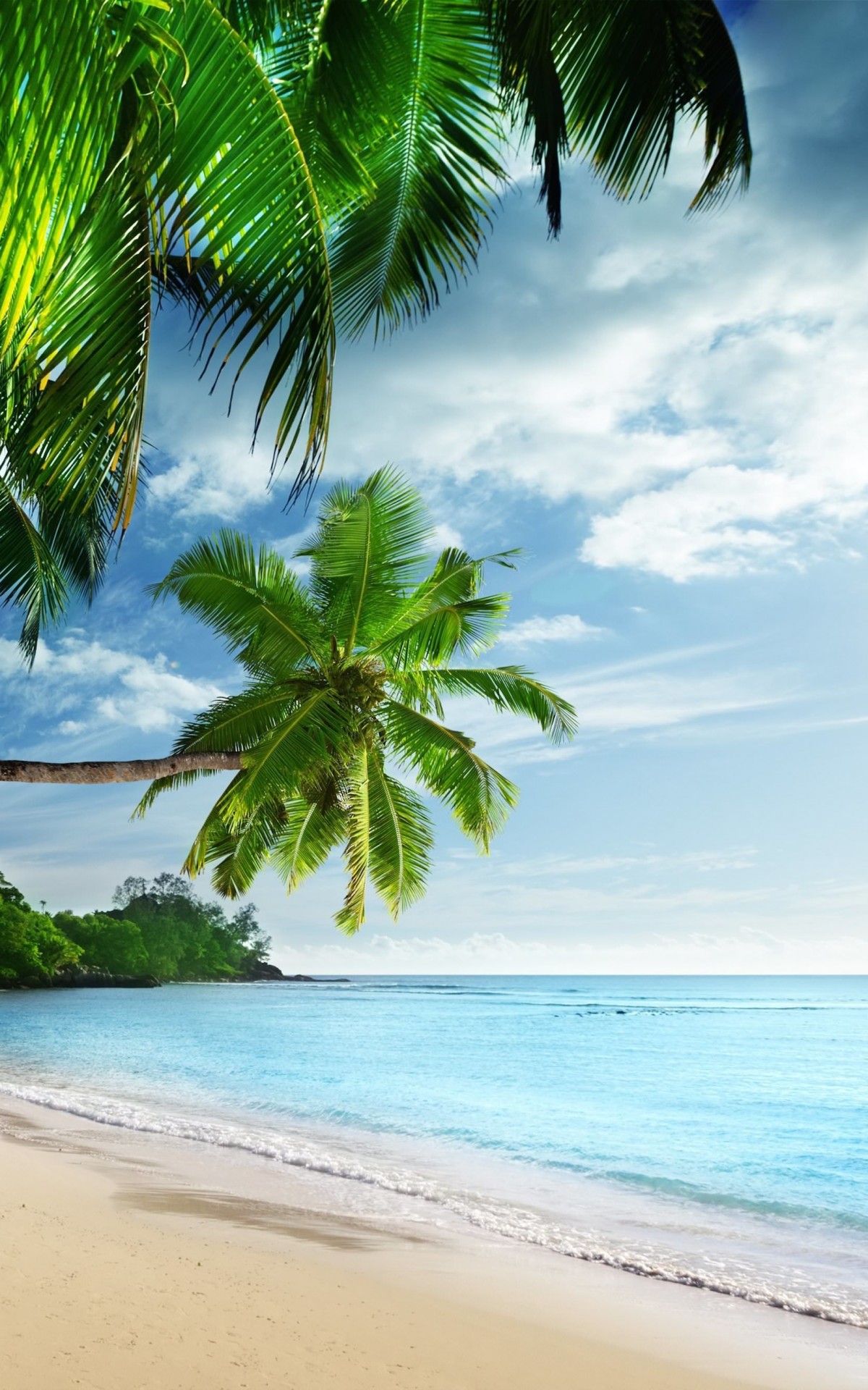 Tropical Paradise Beach Wallpaper for Amazon Kindle Fire HDX