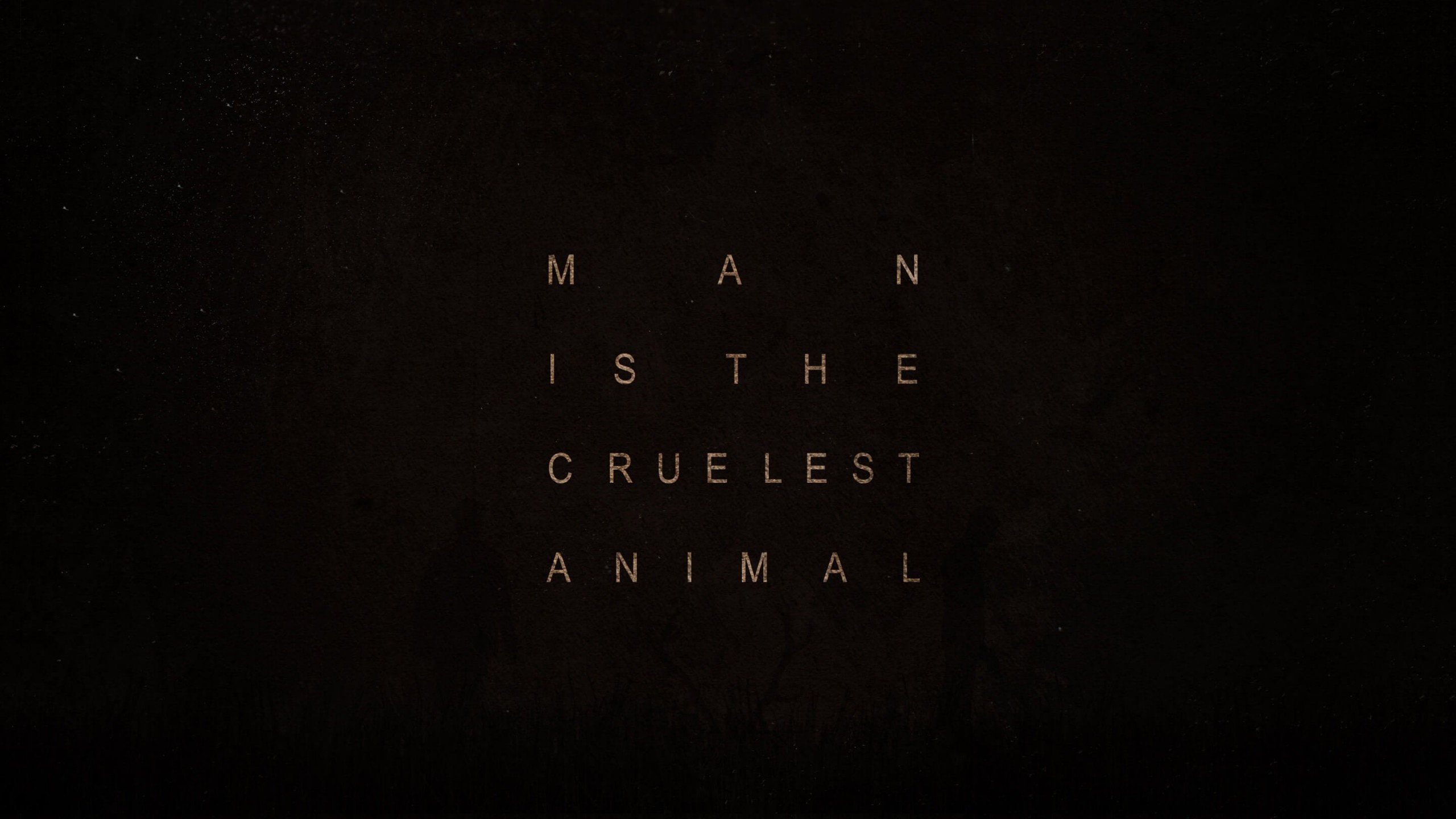 True Detective Quote Wallpaper for Social Media YouTube Channel Art