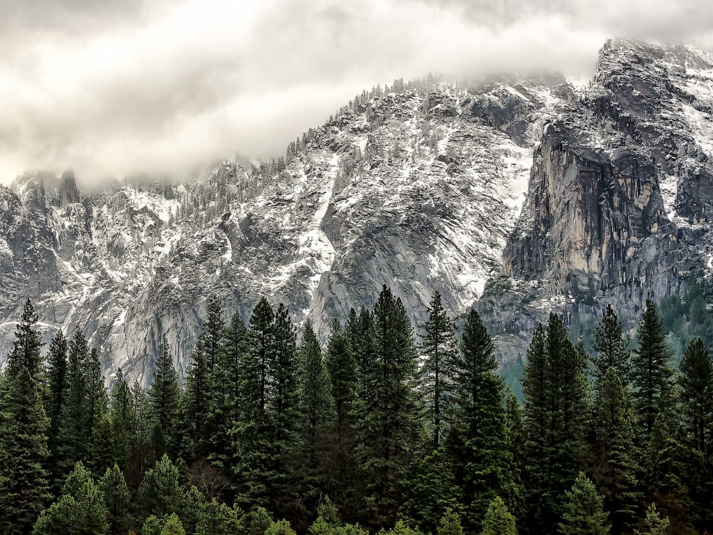 Winter Day at Yosemite National Park Wallpaper for Desktop 1024x768