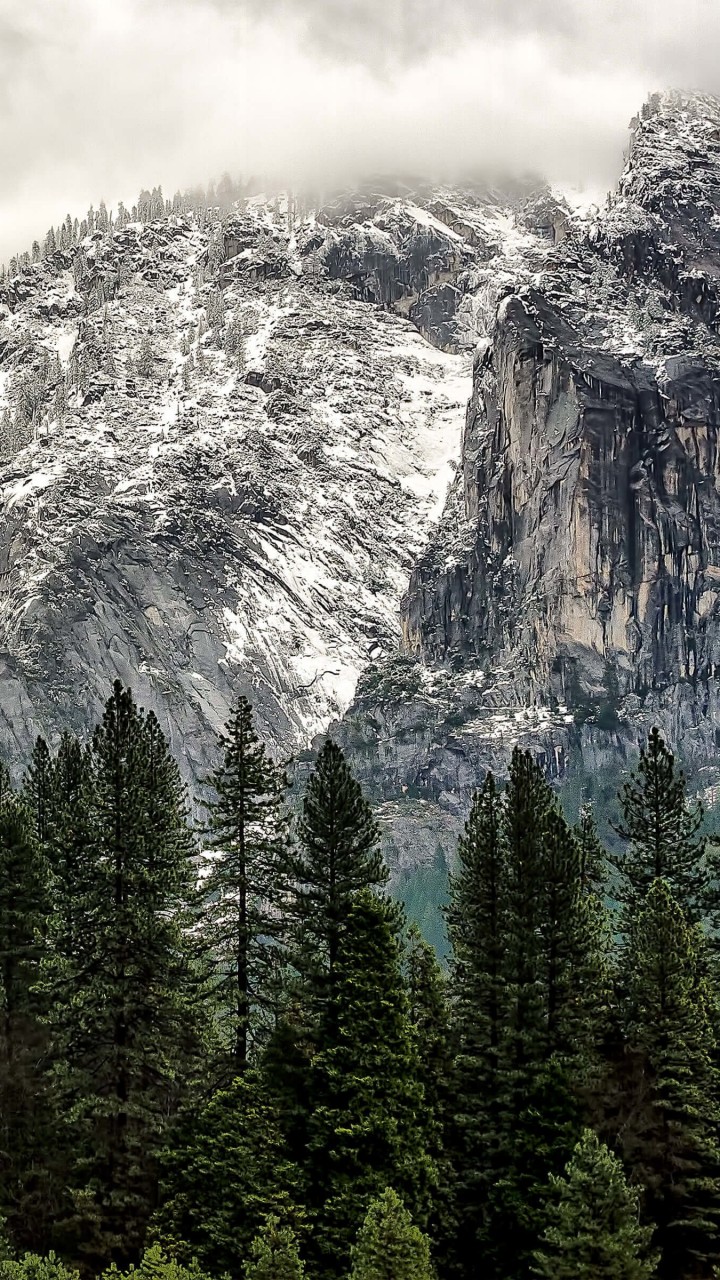 Winter Day at Yosemite National Park Wallpaper for HTC One mini