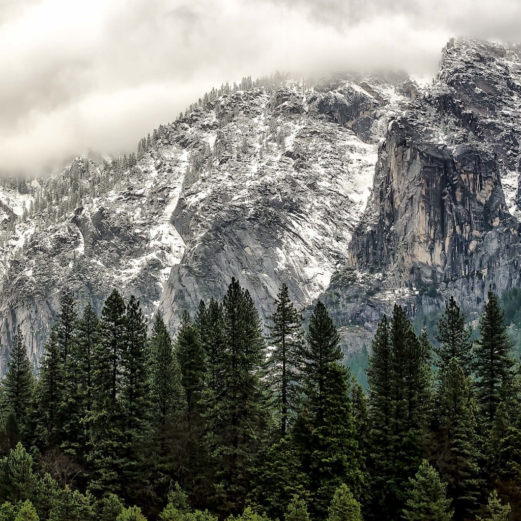 Winter Day at Yosemite National Park Wallpaper for Apple iPad 2