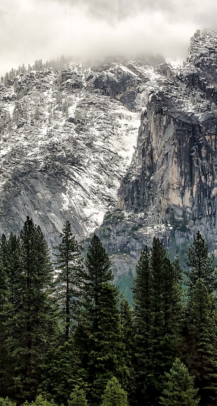 Winter Day at Yosemite National Park Wallpaper for Apple iPhone 5 / 5s