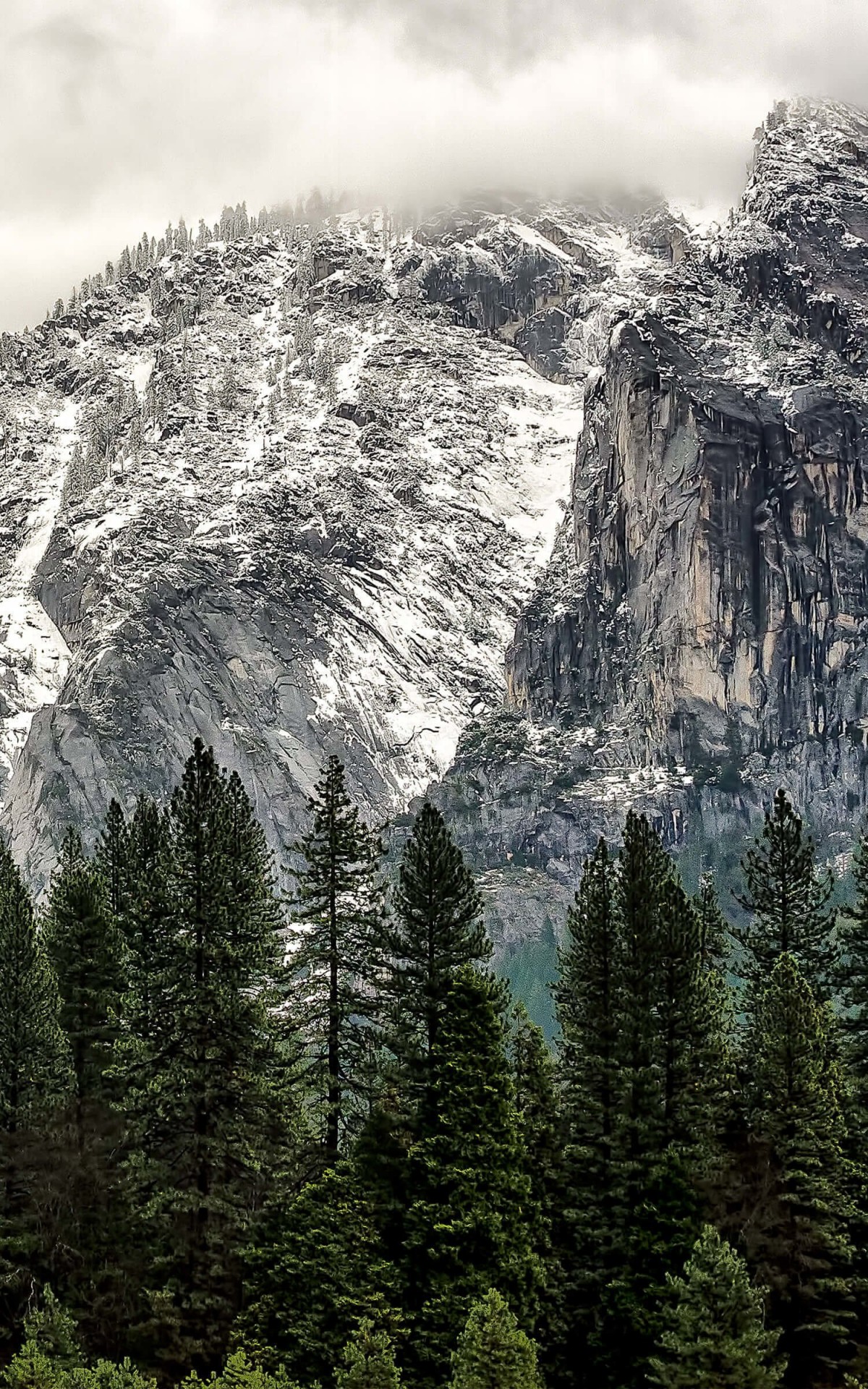 Winter Day at Yosemite National Park Wallpaper for Amazon Kindle Fire HDX