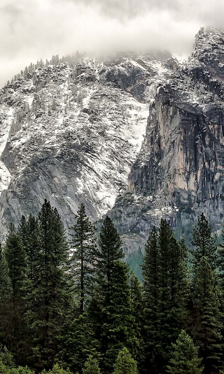 Winter Day at Yosemite National Park Wallpaper for LG Optimus G