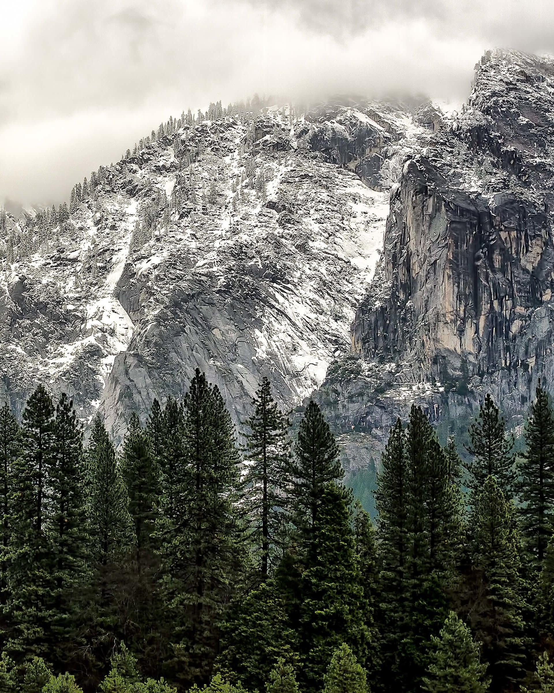 Winter Day at Yosemite National Park Wallpaper for Google Nexus 7